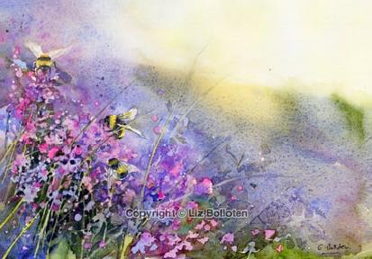 Rising Sun In The Lavender Field