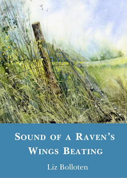 Sound of a Raven’s Wings Beating 
