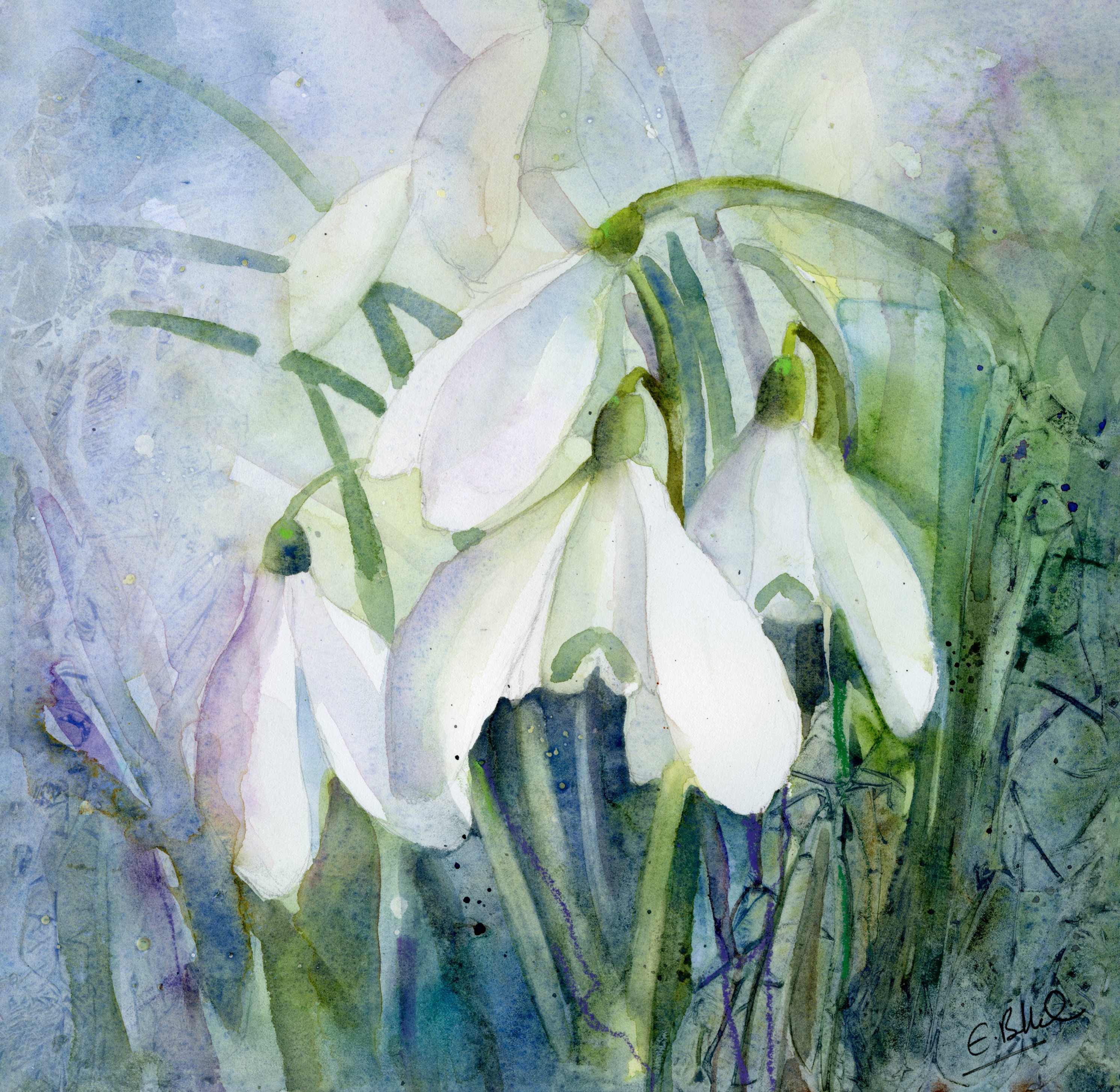 ALWAYS-THE-SNOWDROPS-GROW.jpg