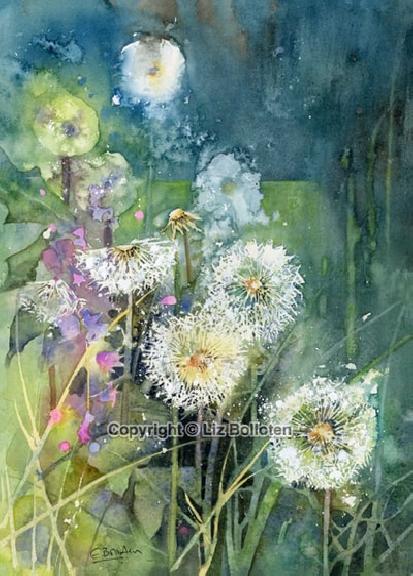 At Sundown The Dandelion Clocks Sparkle