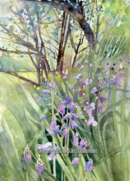 Bluebells in the grasses