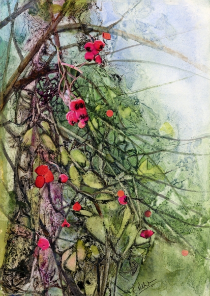 Bright-Rosehips.jpg