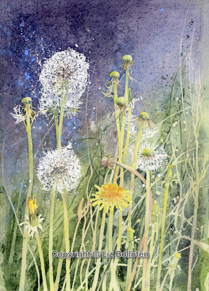 Dandelions