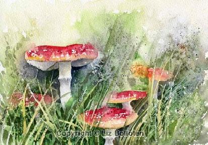 Fly Agaric