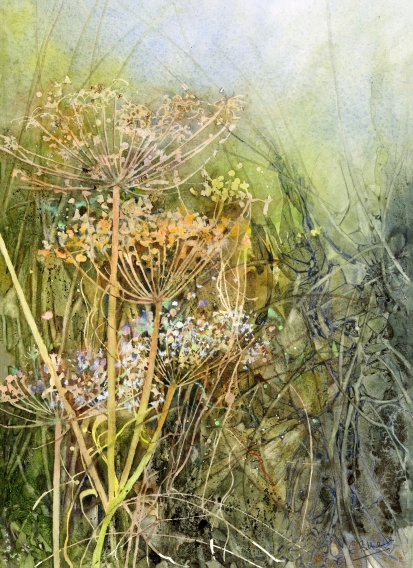 Golden-Umbellifers.jpg