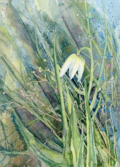 Lone white fritillary