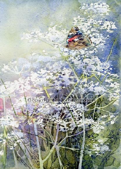 Red Admiral In The Lacy Hedge