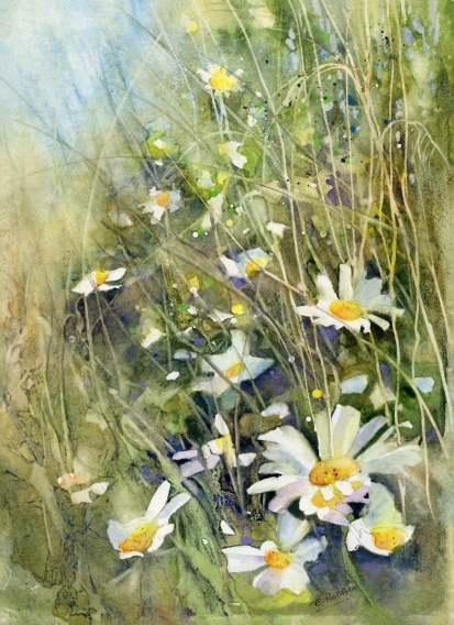 Roadside-Daisies.jpg