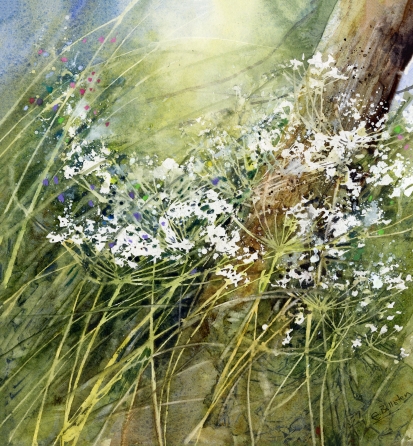 Spring-Umbellifers-By-The-Post.jpg
