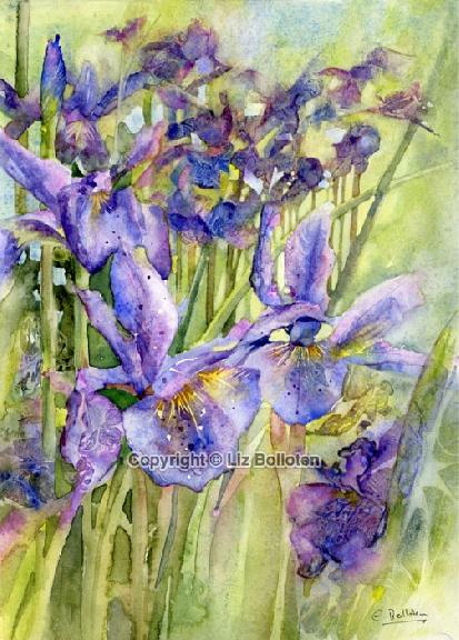 Stumbling Into The Irises