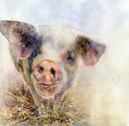 This-Little-Piggy.jpg