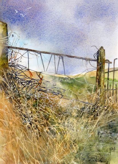 Up-On-The-Moor.jpg