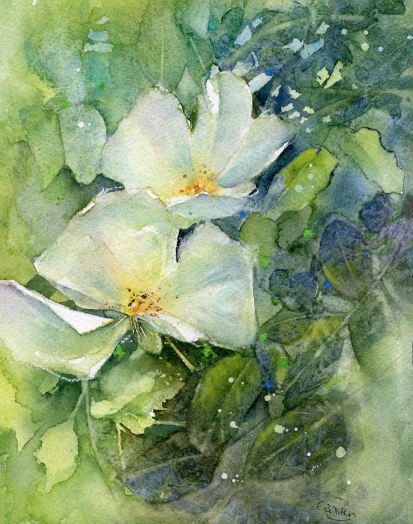 Wild-Roses-Bloom-For-A-Day.jpg